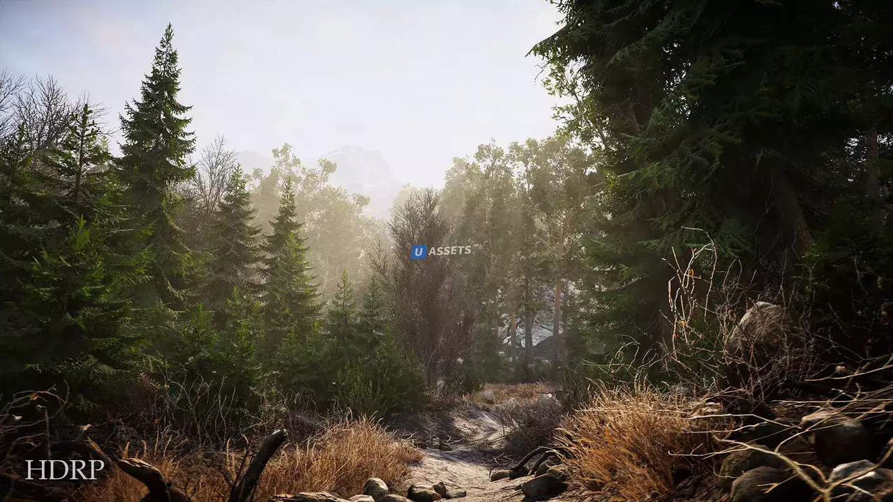 Real Landscapes - Valley Forest