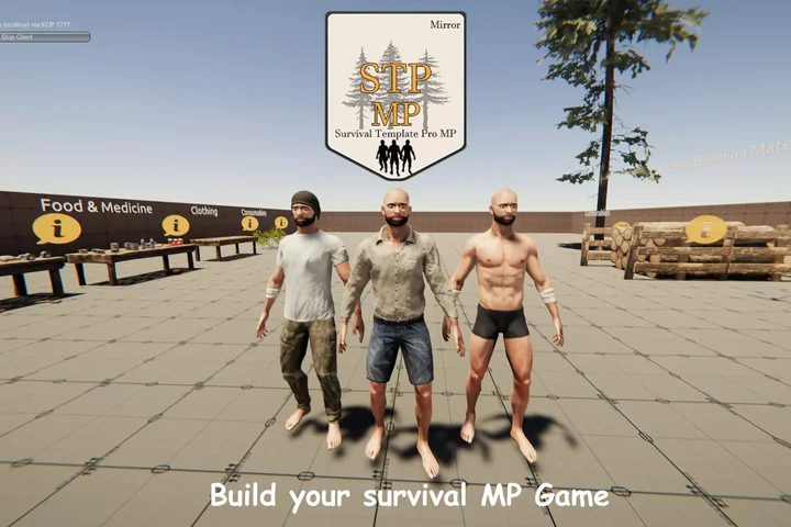 Multiplayer (STP) Survival Template PRO