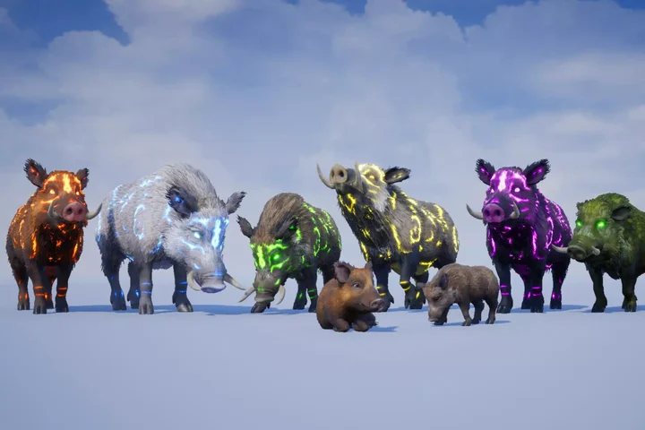 Realistic Boars