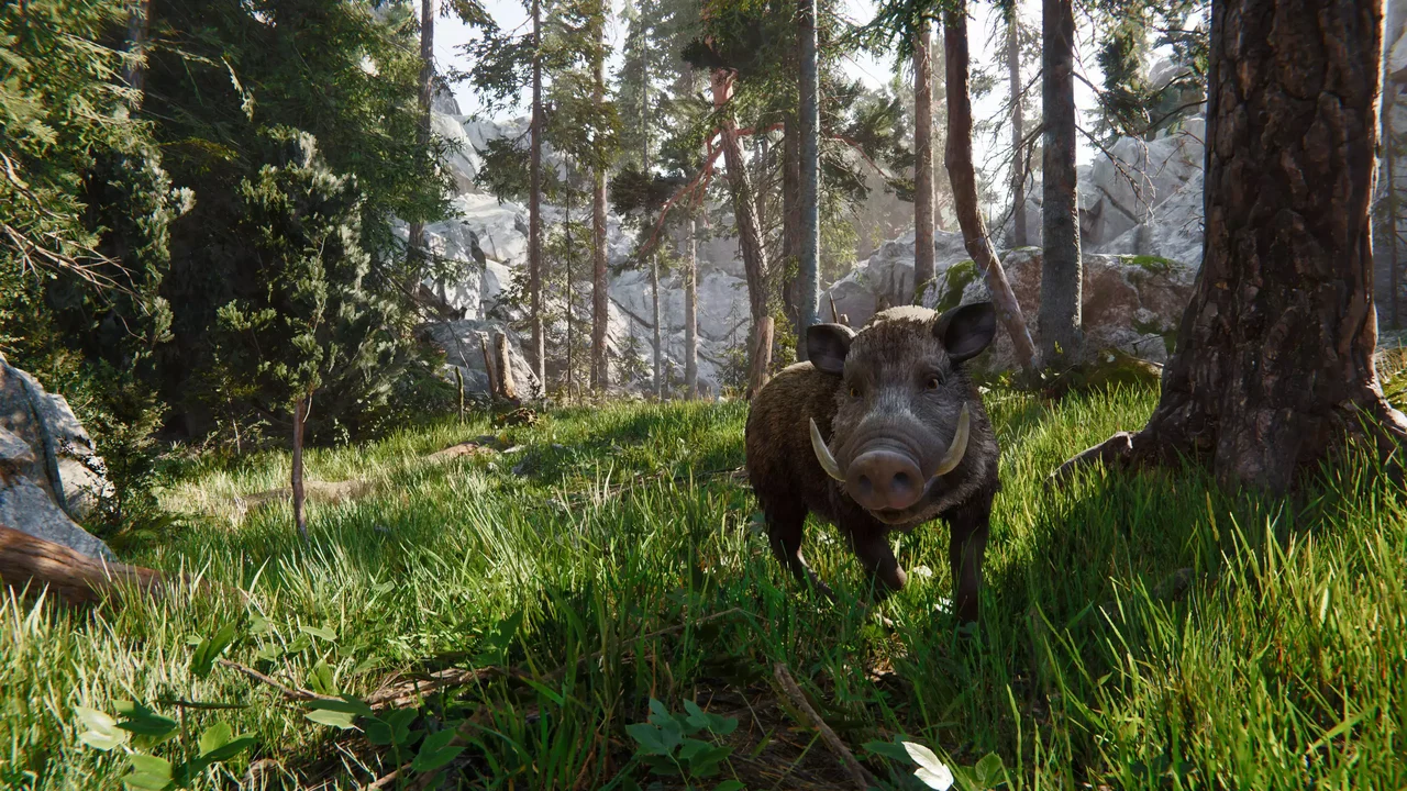 Realistic Boars