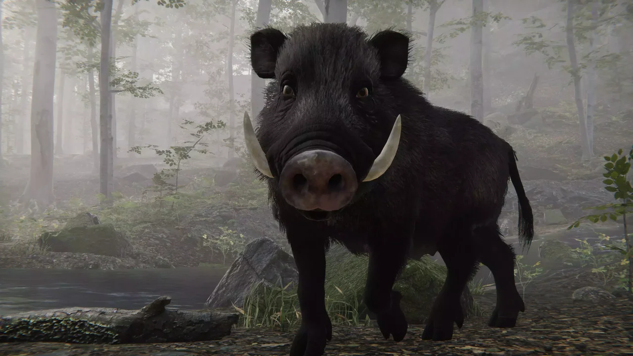Realistic Boars