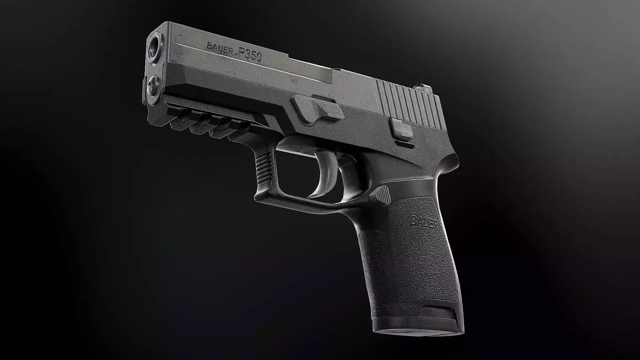 FPS P350 - Model Textures v1.0