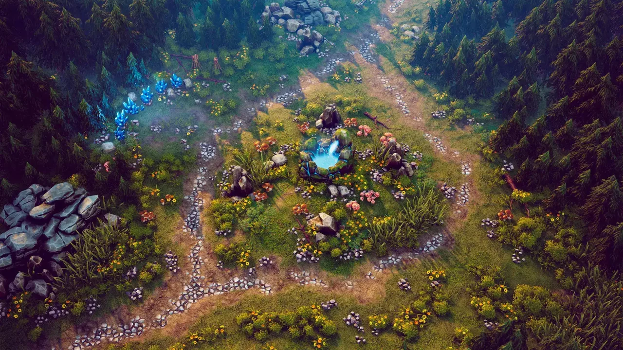 Top Down - Fantasy Forest
