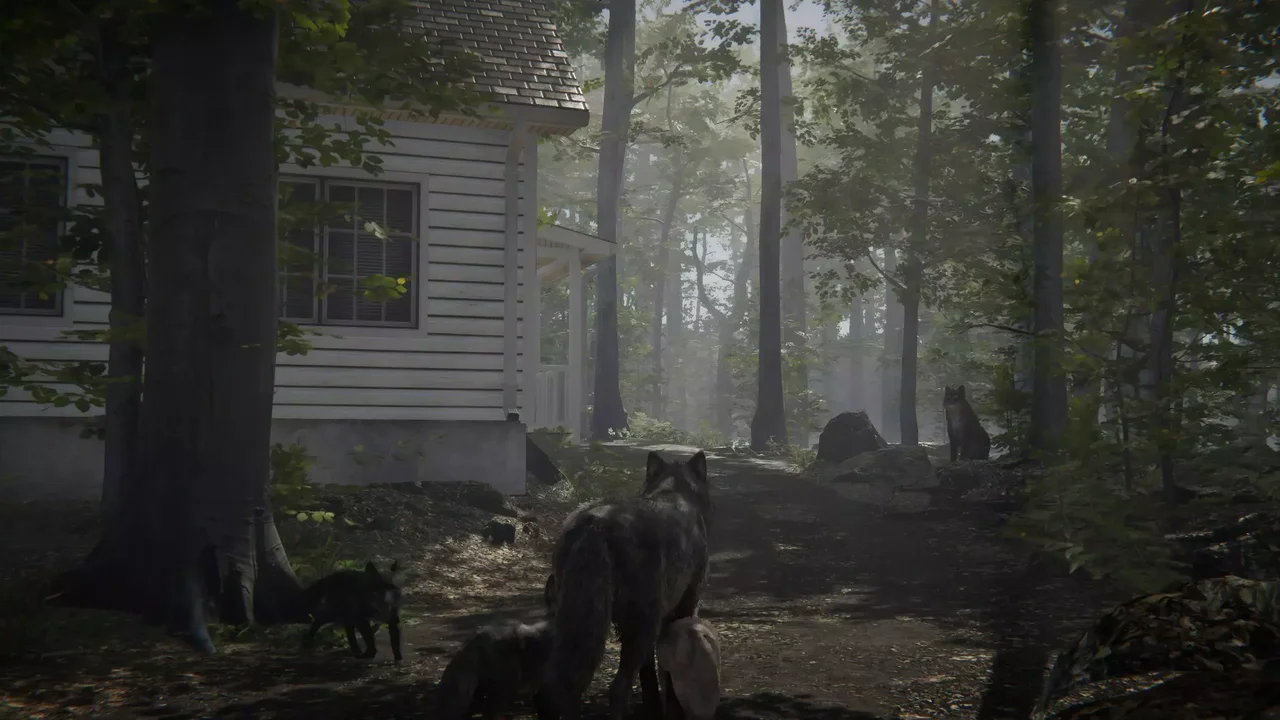 Realistic Wolf