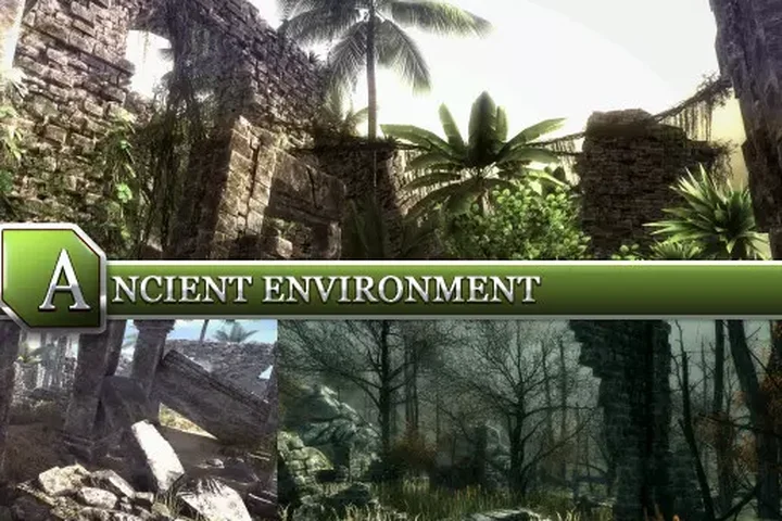 Ancient Environment