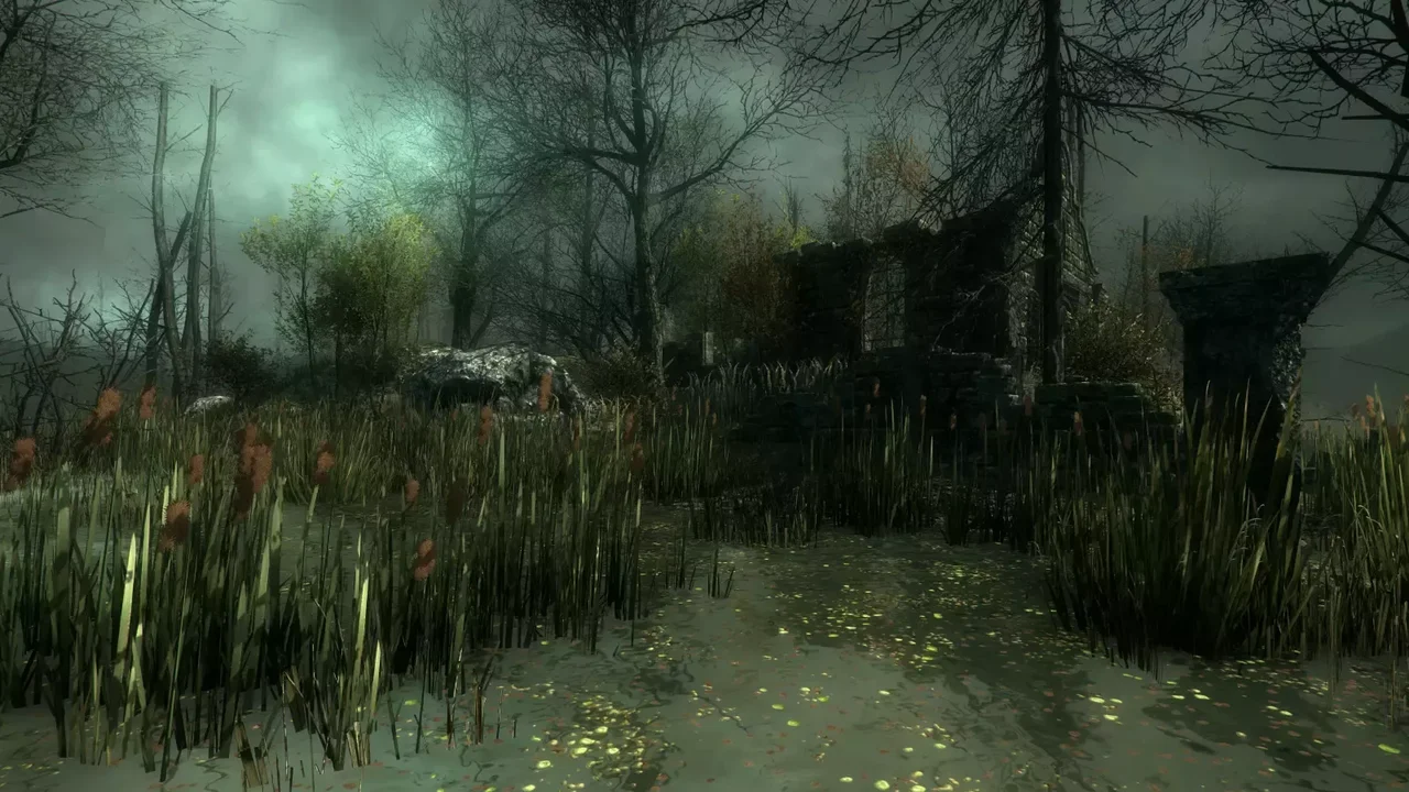 Ancient Environment