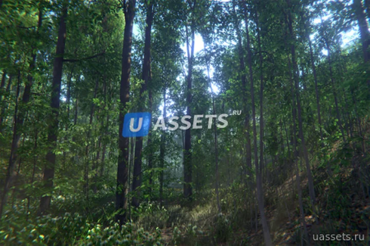 Nature Package - Forest Environment