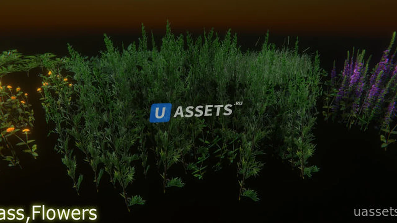 Nature Package - Forest Environment