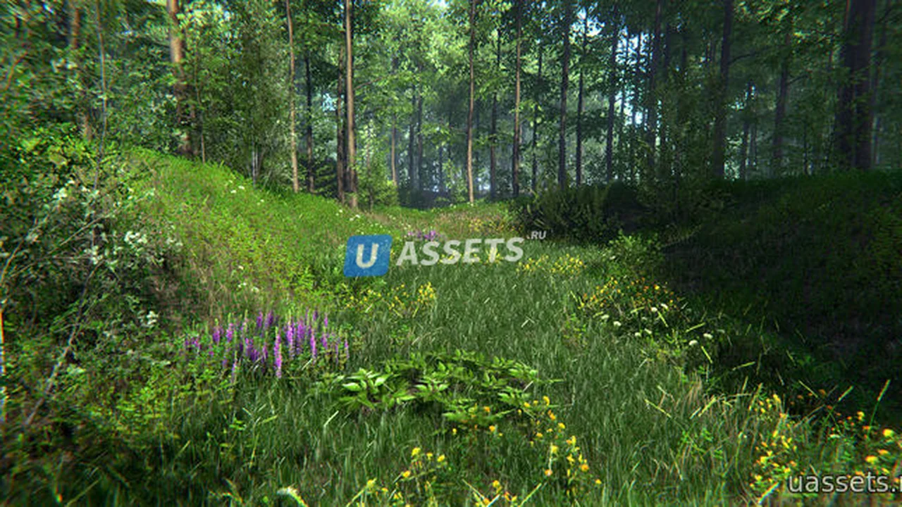Nature Package - Forest Environment