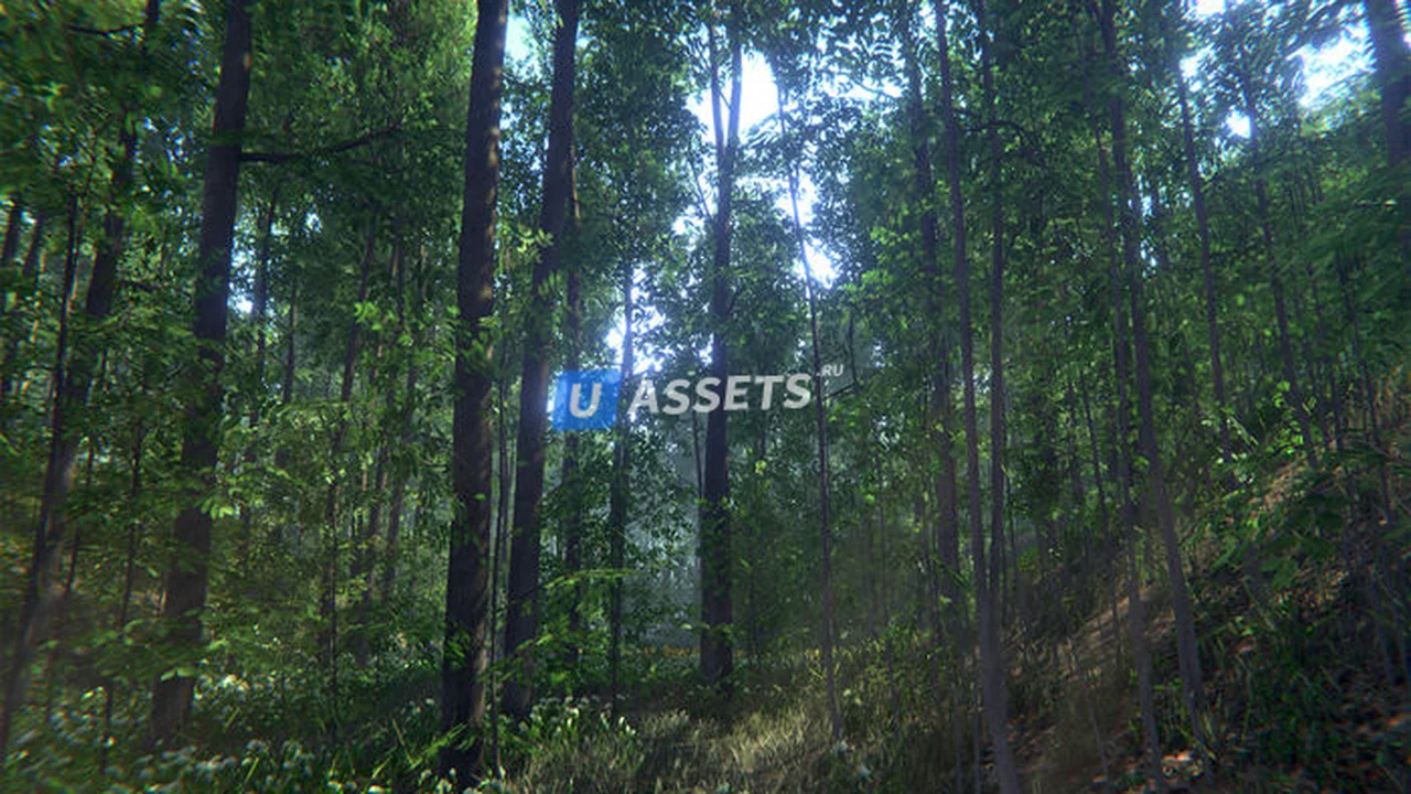 Nature Package - Forest Environment