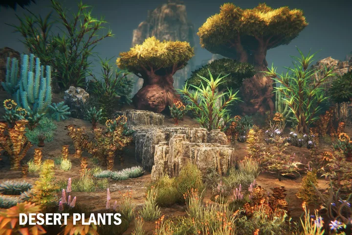 Desert plants