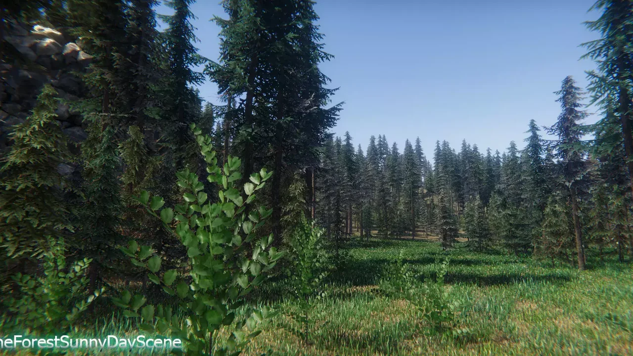 Spruce Trees Pack