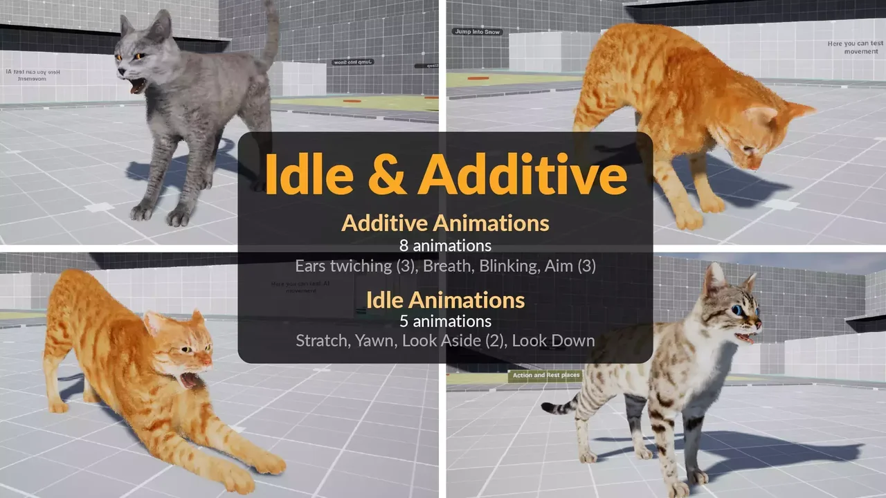 Fully Animated Cats