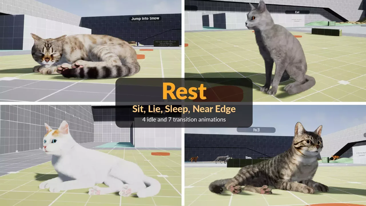 Fully Animated Cats