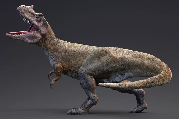 Ceratosaurus - 82 Animations - Real Dinosaur Series