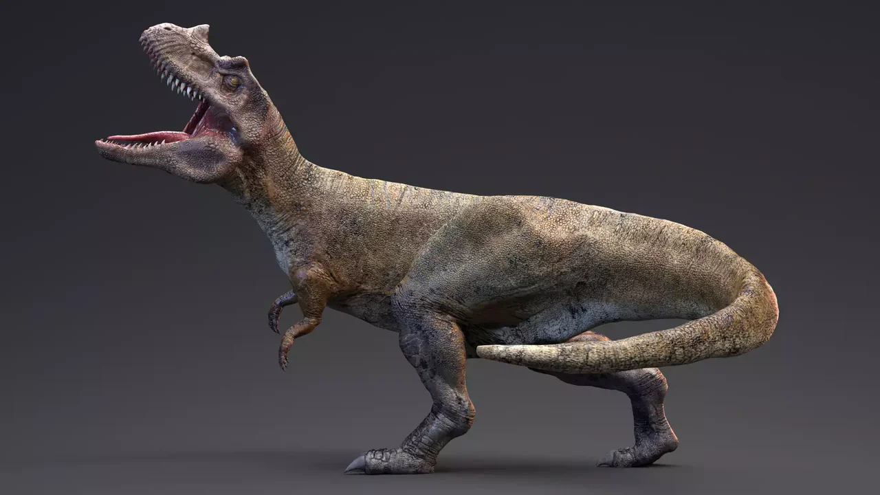 Ceratosaurus - 82 Animations - Real Dinosaur Series