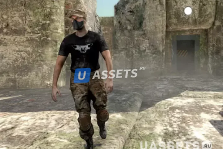 Movement Animset Pro