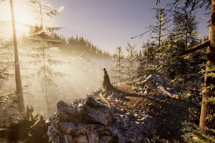 Mountain Forest Pack