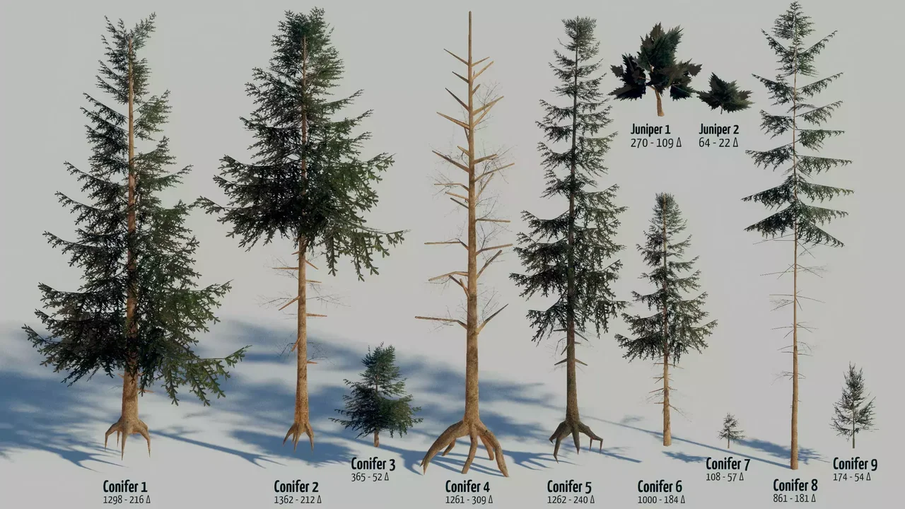 Mountain Forest Pack