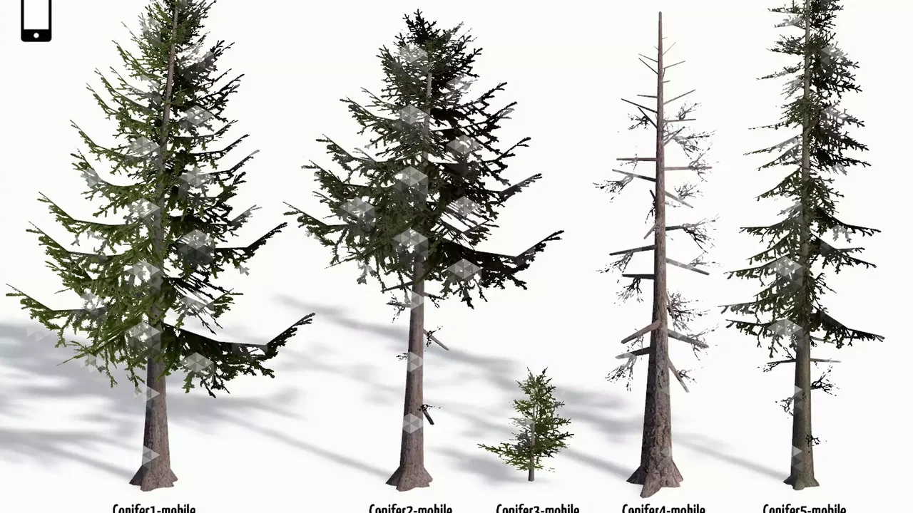 Mountain Forest Pack