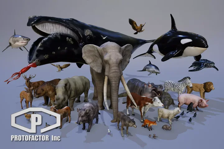 Animals Full Pack
