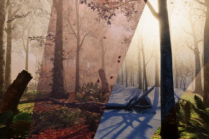 Seasonal Forest