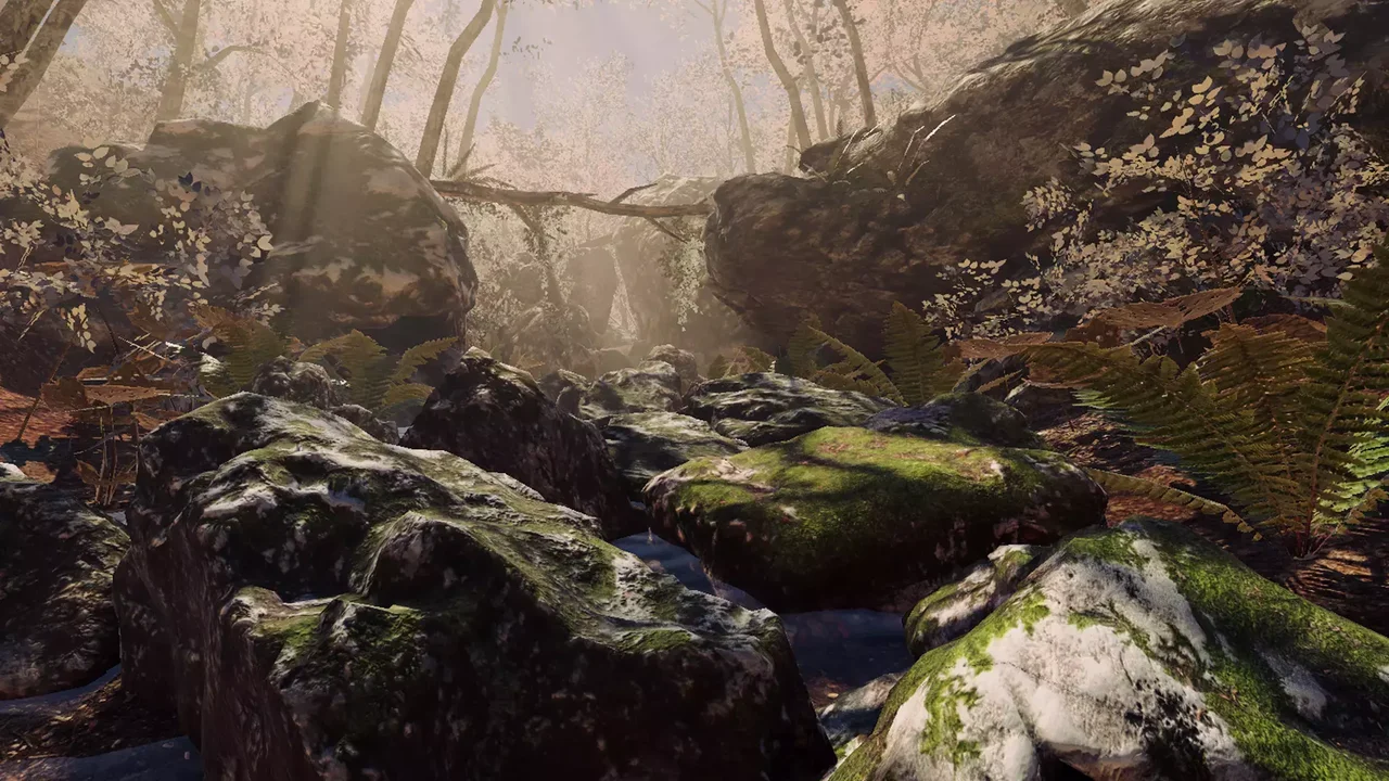 Seasonal Forest