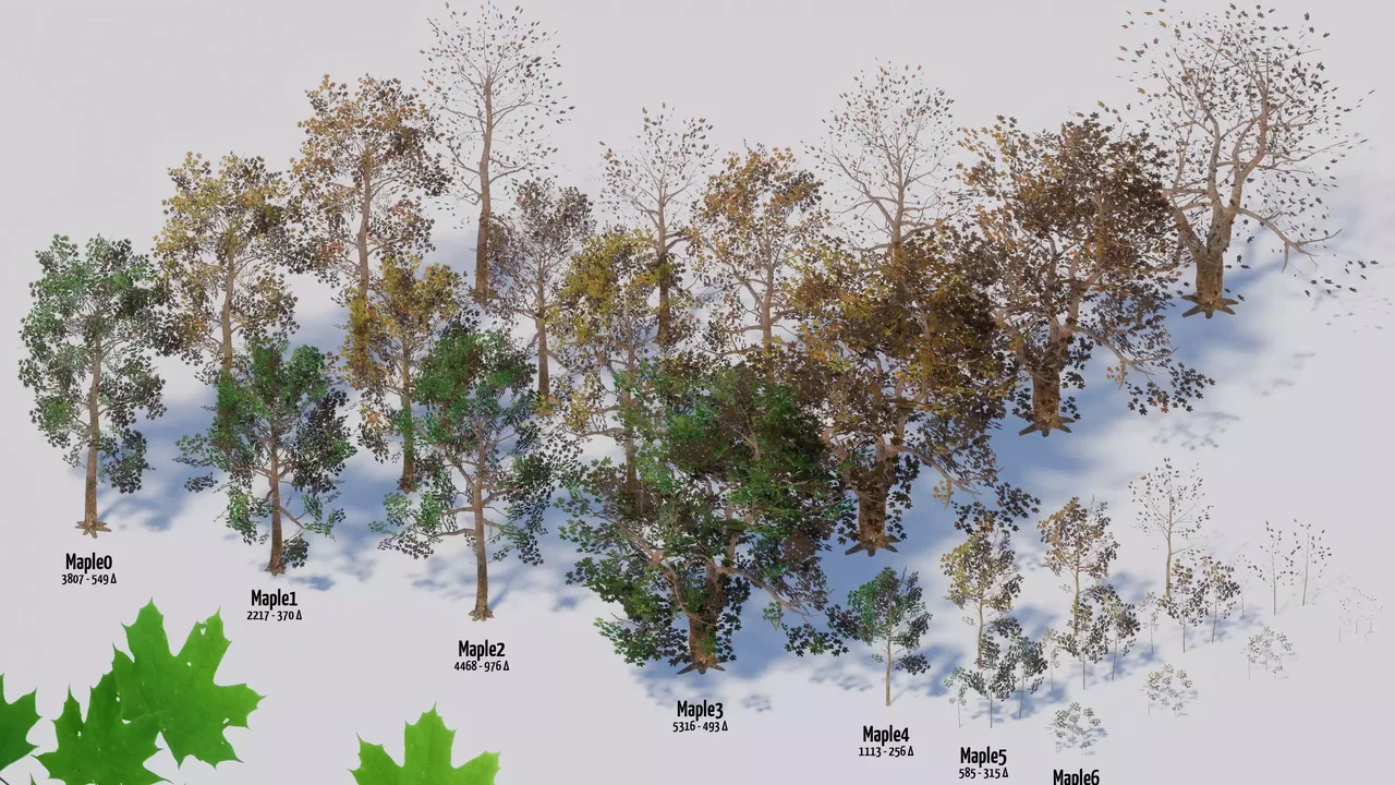 Seasonal Forest