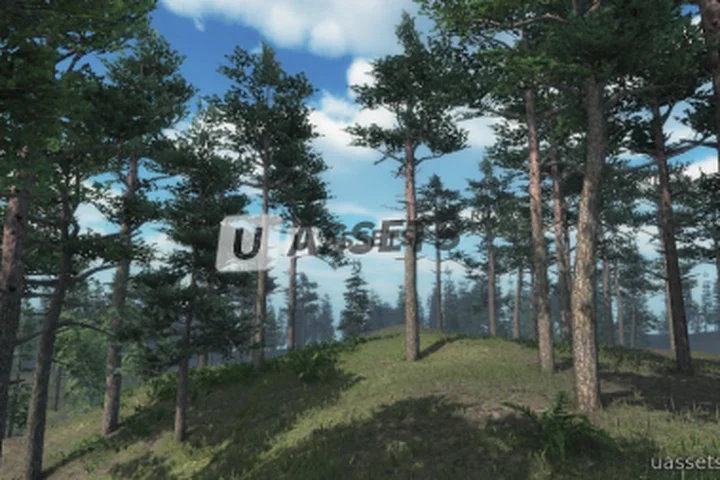 Scots Pine Trees Package