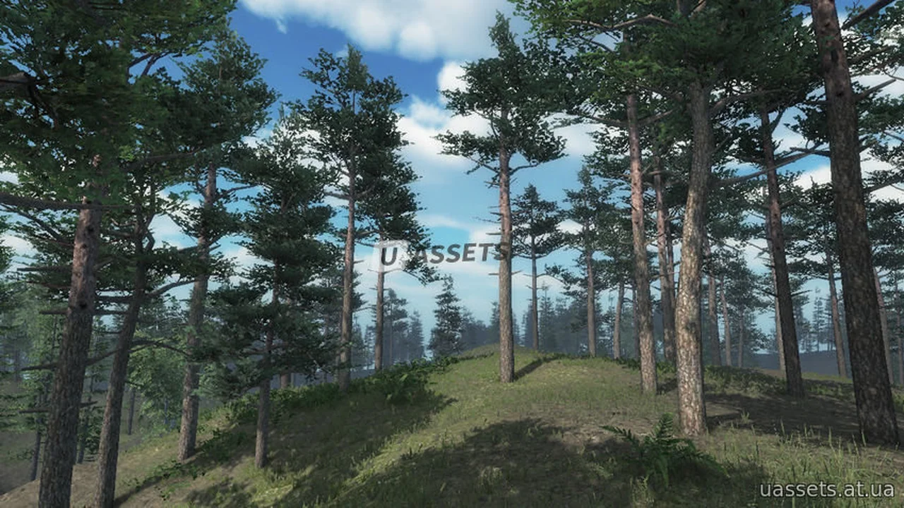 Scots Pine Trees Package