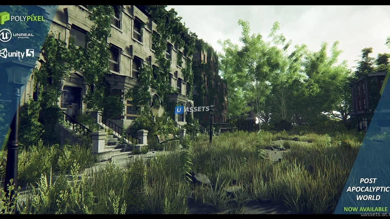 Post Apocalyptic World