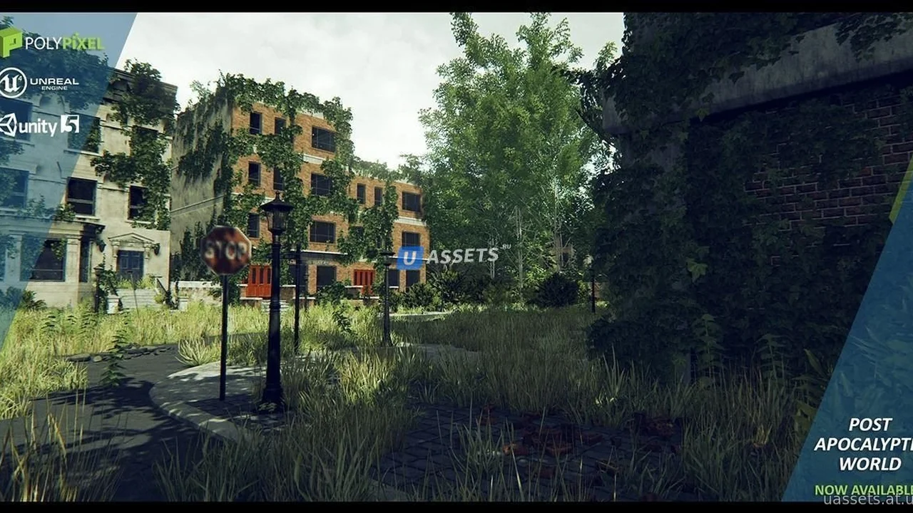 Post Apocalyptic World
