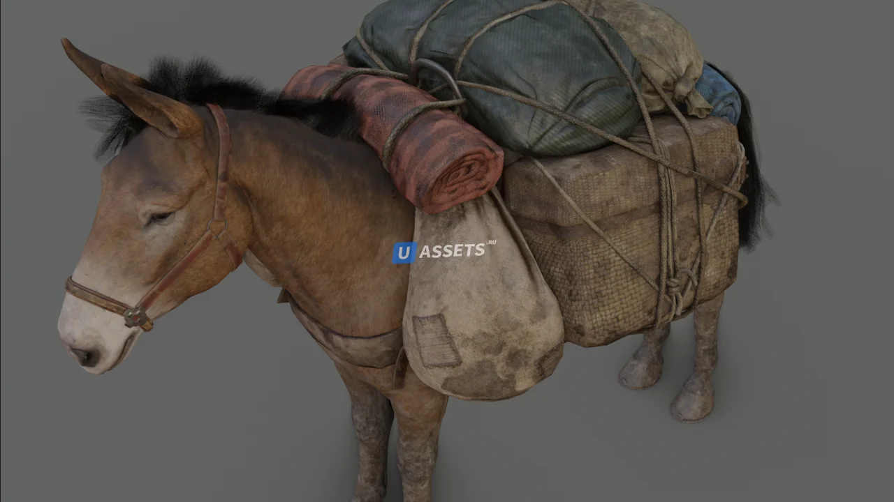 Hunter Character | Mule